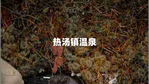 熱湯鎮(zhèn)溫泉
