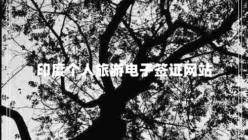 印度個人旅游電子簽證網站