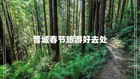 晉城春節(jié)旅游好去處