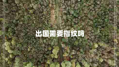 出國(guó)需要指紋嗎