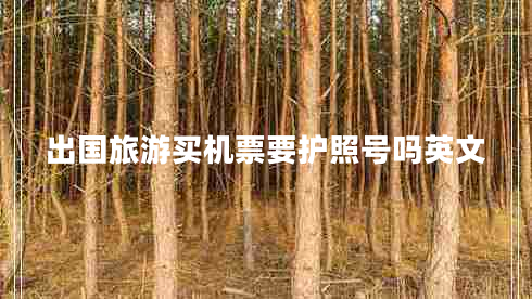出國旅游買機(jī)票要護(hù)照號嗎英文