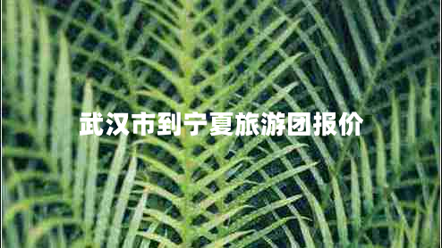 武漢市到寧夏旅游團(tuán)報價