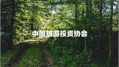 中國旅游投資協(xié)會