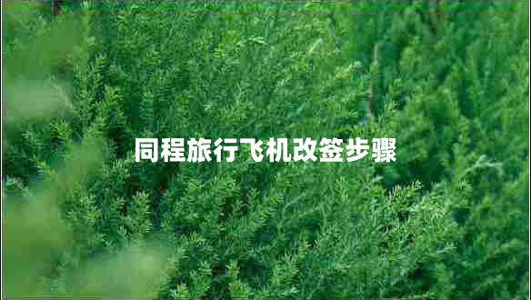 同程旅行飛機(jī)改簽步驟