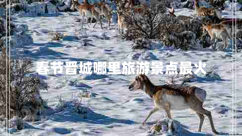 春節(jié)晉城哪里旅游景點(diǎn)最火