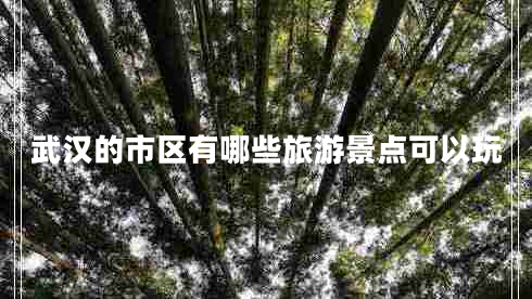 武漢的市區(qū)有哪些旅游景點(diǎn)可以玩