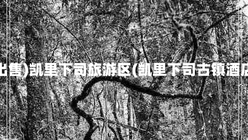 出售)凱里下司旅游區(qū)(凱里下司古鎮(zhèn)酒店