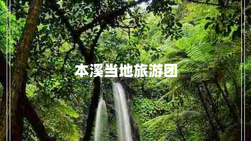 本溪當(dāng)?shù)芈糜螆F(tuán)