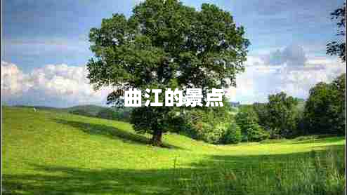 曲江的景點
