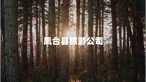 鳳臺(tái)縣旅游公司