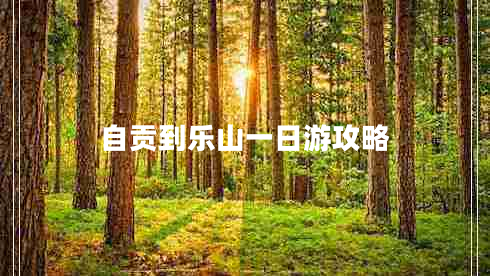 自貢到樂山一日游攻略