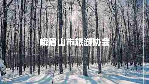 峨眉山市旅游協(xié)會