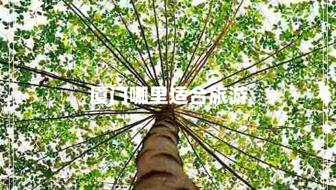 廈門哪里適合旅游