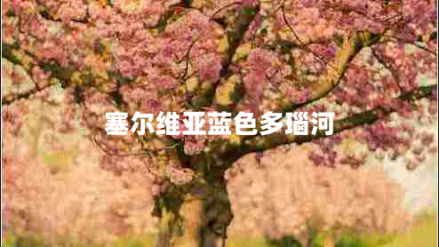 塞爾維亞藍(lán)色多瑙河