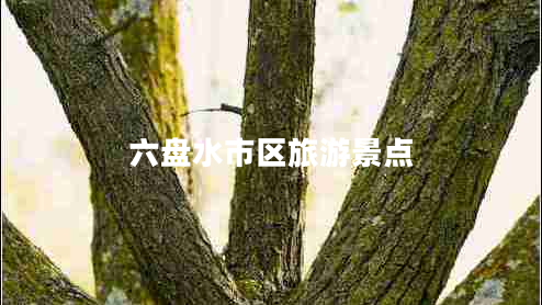 六盤水市區(qū)旅游景點