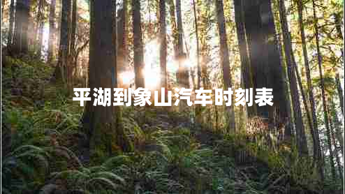 平湖到象山汽車時刻表