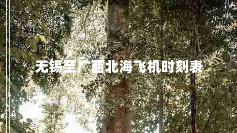 無錫至廣西北海飛機(jī)時刻表