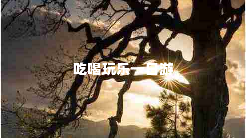 吃喝玩樂一日游