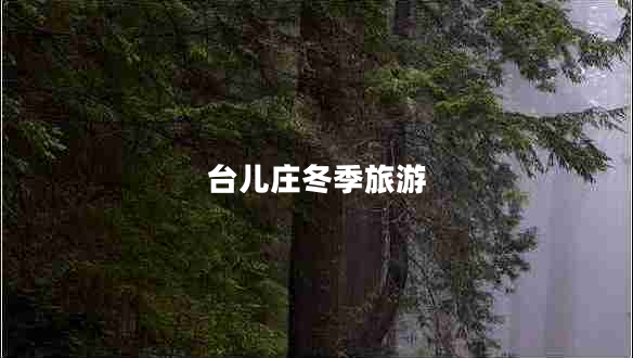 臺(tái)兒莊冬季旅游