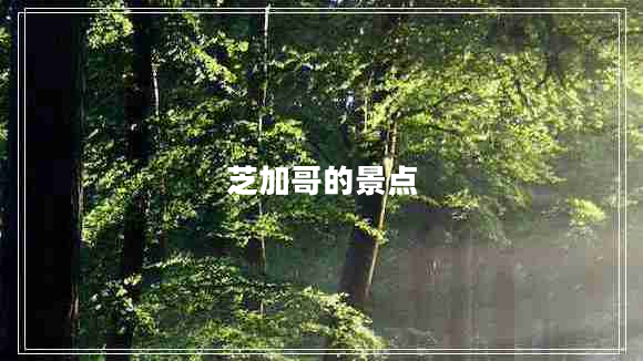 芝加哥的景點