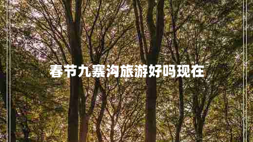 春節(jié)九寨溝旅游好嗎現(xiàn)在