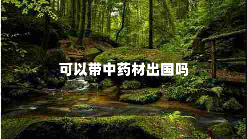 可以帶中藥材出國(guó)嗎