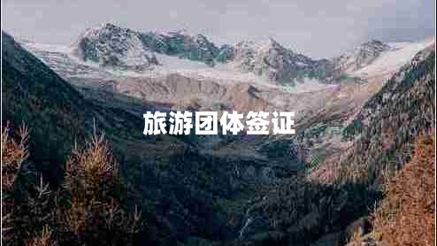 旅游團(tuán)體簽證