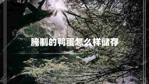 腌制的鴨蛋怎么樣儲(chǔ)存