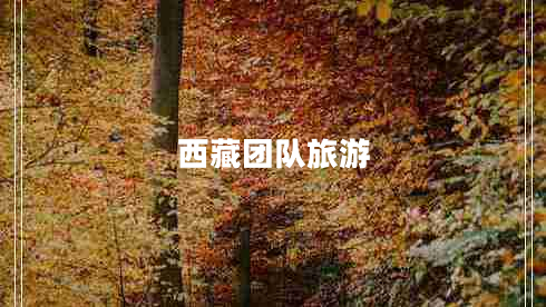 西藏團(tuán)隊旅游