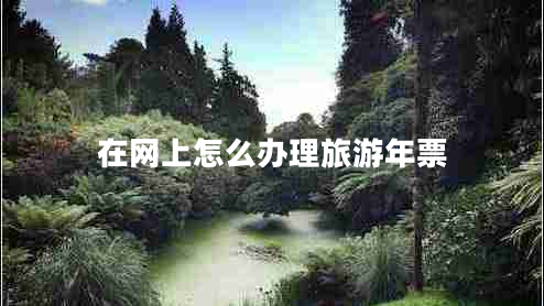 在網上怎么辦理旅游年票