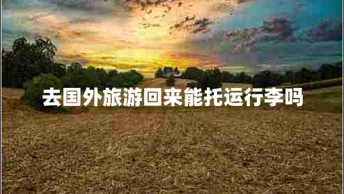 去國(guó)外旅游回來(lái)能托運(yùn)行李嗎