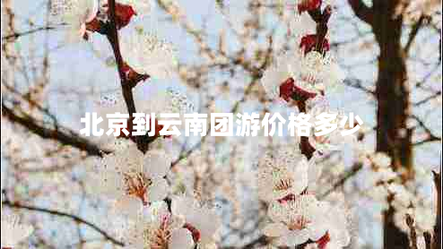 北京到云南團游價格多少