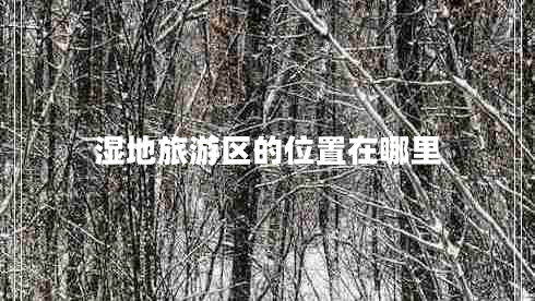 濕地旅游區(qū)的位置在哪里