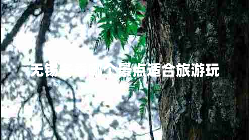 無錫冬季哪個(gè)景點(diǎn)適合旅游玩