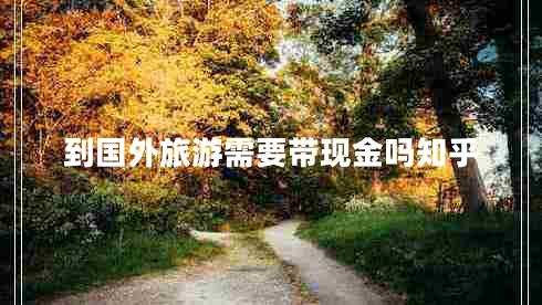 到國外旅游需要帶現(xiàn)金嗎知乎