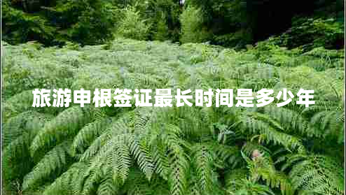 旅游申根簽證最長時(shí)間是多少年