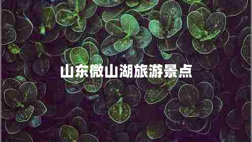 山東微山湖旅游景點