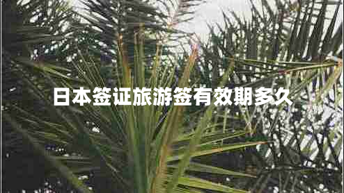 日本簽證旅游簽有效期多久