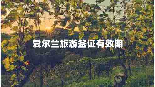 愛爾蘭旅游簽證有效期