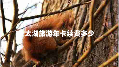太湖旅游年卡續(xù)費(fèi)多少