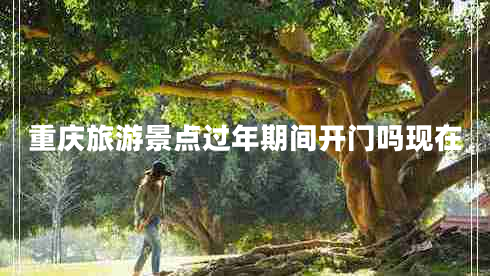 重慶旅游景點(diǎn)過年期間開門嗎現(xiàn)在