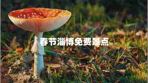 春節(jié)淄博免費(fèi)景點(diǎn)