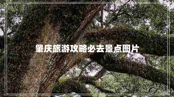 肇慶旅游攻略必去景點圖片