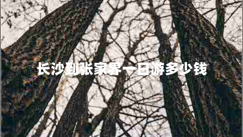 長沙到張家界一日游多少錢