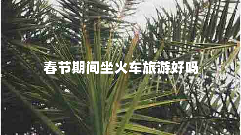 春節(jié)期間坐火車(chē)旅游好嗎