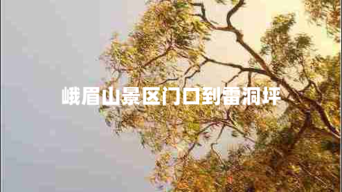 峨眉山景區(qū)門口到雷洞坪