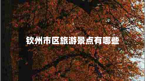 欽州市區(qū)旅游景點(diǎn)有哪些