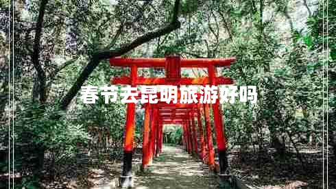 春節(jié)去昆明旅游好嗎