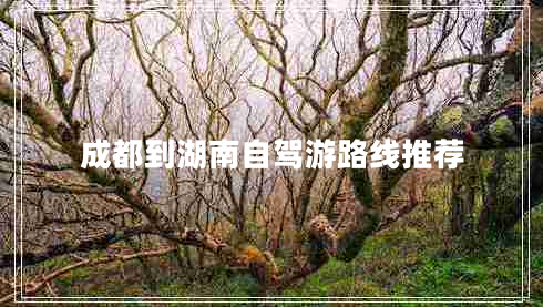 成都到湖南自駕游路線推薦