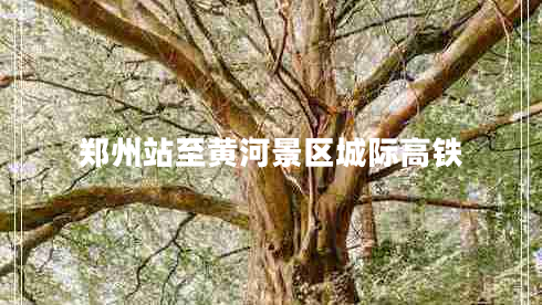 鄭州站至黃河景區(qū)城際高鐵